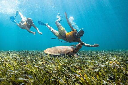 5-in-1 Cancun Adventure: Turtles, Reef, Musa, Shipwreck, Cenote