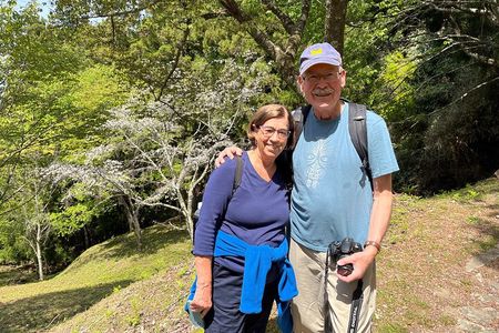 Historic and Natural Guided Hike in Yoshino