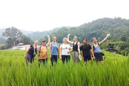 Eco 1.45Hours Hiking @Pha Dok Siaw + Doi Inthanon & Royal Project