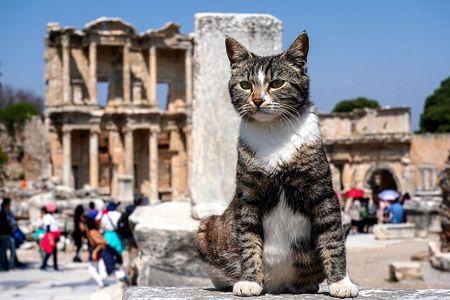 Private Ephesus Tour from Kusadasi 