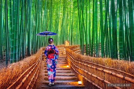 Private Tour Kyoto-Nara w/Hotel Pick Up & Drop off from Kyoto