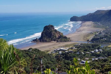 Piha Waitakere Rainforest Wine Tour from Auckland