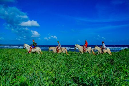 Horseback Riding at Mahogany Bay 