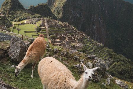 Full Day Tour to Machu Picchu