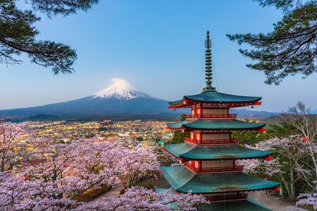 Mt. Fuji or Hakone Private Sightseeing Day Trip From Tokyo