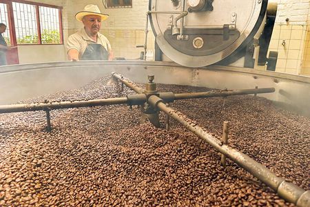 Full Day learning about the Process of the Best Coffee in the World