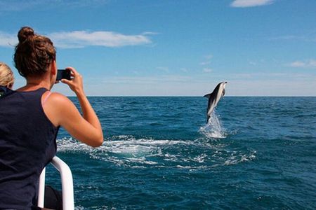 Island Visit National Park Brijuni & Dolphin Cruise
