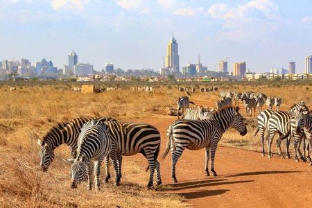 Private Nairobi National Park Day Tour 