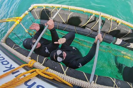 Cape Shark Diving Adventures 