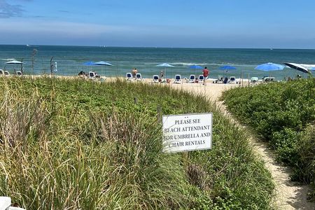 Wilmington River to Sea E-Bike Adventure Tour