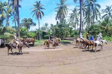 Beach Activities and All Inclusive Tour