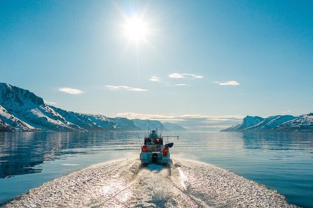 Alta: 3 Hours Guided Adventure Cruise in Alta Fjord