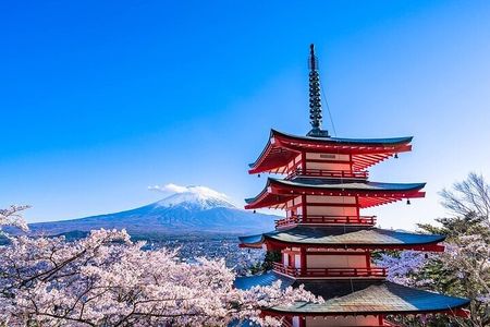 Mt. FUji and Cherry Blossom Day Trip with English Speaking Driver