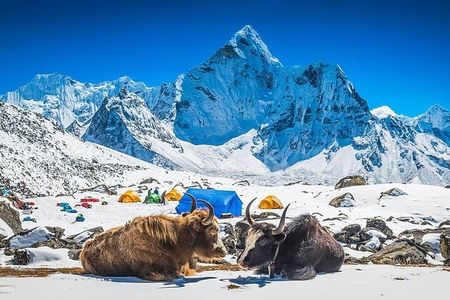Everest Base Camp Trek 14 days With Expedia Holiday 