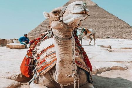 Discover the Treasures of Cairo: Small Group Tour from Hurghada