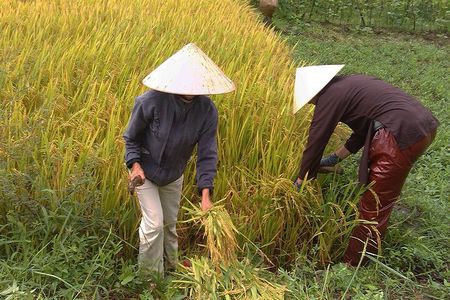 Private Cycling Tour in Rural Hue with Farming Experience