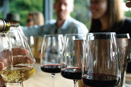 3 Wineries & Olive Oil Experience with Private Transport