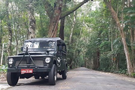 Jeep Tour Botanical Garden and Tijuca Rainforest with Tickets