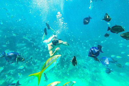 Punta Cana Exclusive Adults-Only Snorkel with Food and Drinks