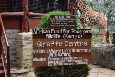 Private Tour to Giraffe Centre Adventure 