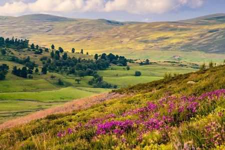 4 Day Journey to Scotland from Manchester Including Admissions