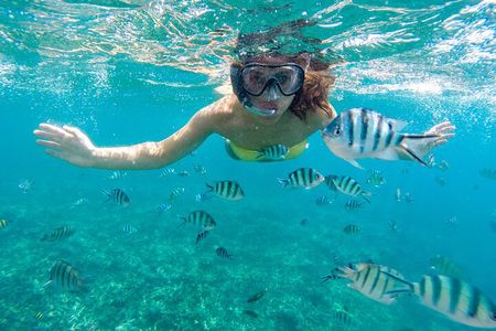 Private 2-Hour Tour in Nassau