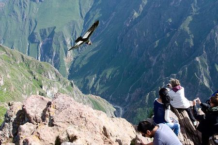Full Day Tour to Colca from Arequipa