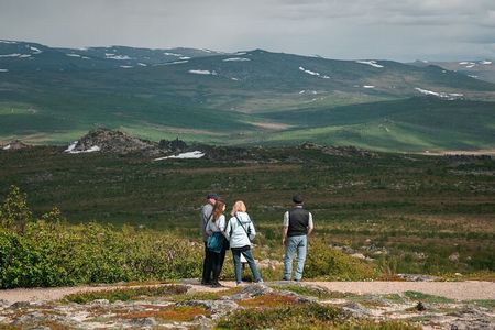 Full Day Arctic Circle Experience with Lunch