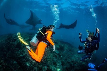 Diving in Nusa Penida
