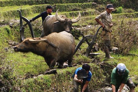 Sapa Hmong Family Trekking Adventures