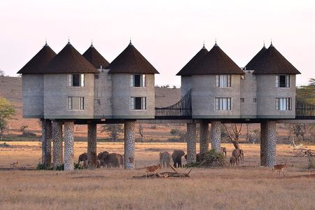 Overnight Safari Tour to Saltlick Lodge from Mombasa