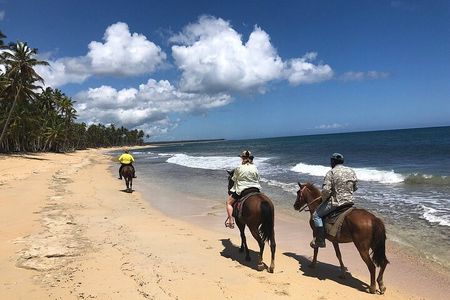 Macao Beach Horseback Ride from Punta Cana