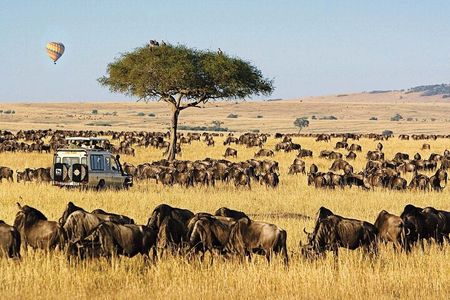 4 day Group Safari To Maasai Mara and L. Nakuru Park by 4x4 jeep