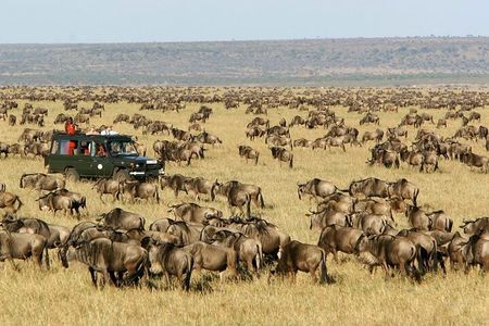 3 Days 2 Nights Maasai Mara Group Safari from Nairobi