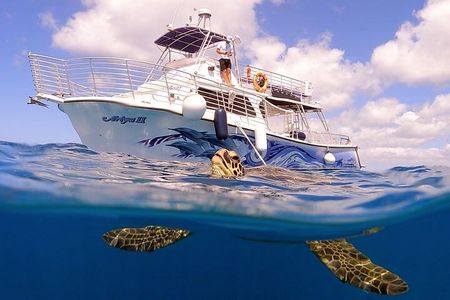 Waikiki Turtle Canyon Snorkeling with Hula Show