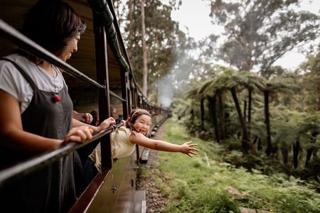 Melbourne Puffing Billy Train and Penguin Parade Day Tour Escape