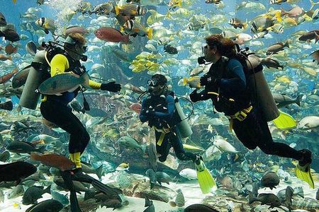 Scuba Diving at Jumeirah Dubai with Private Transfers