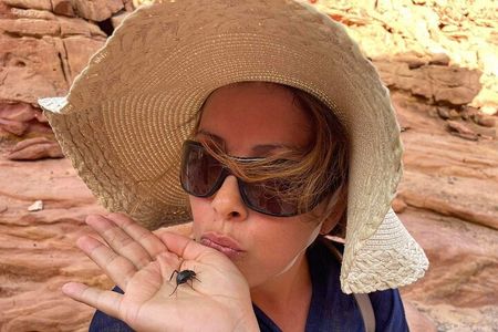 Canyon Salama & Blue Hole Discovery – Sharm Adventure with Lunch