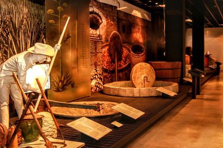 Ticket to the Tequila and Mezcal Museum and tasting