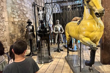 Tower of London for kids & families Private Guided Tour with pre-booked Tickets