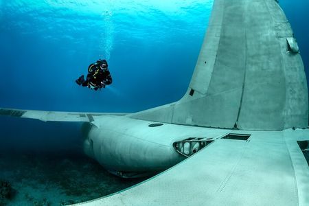 Private Diving Lesson in Aqaba: Be a Certified Diver