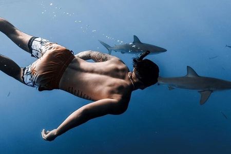 Private Shark Dive, Oahu, Hawaii (6 Guest)