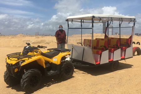 Port City Beach Safari
