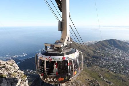 Table Mountain, Cape Point & Penguins Private ,From Cape Town 