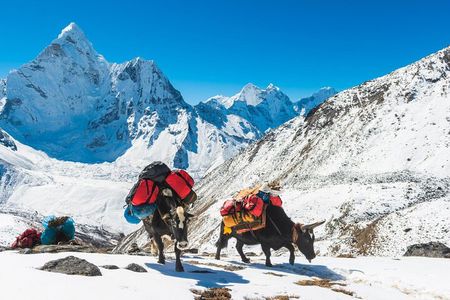 Everest Base Camp Trekking 16 Days 