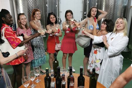 Country side Dubrovnik gastro and wine tour 