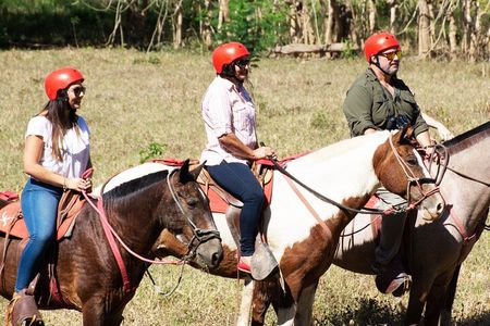 2 Hour Private Horseback Riding in Tarcoles Costa Rica