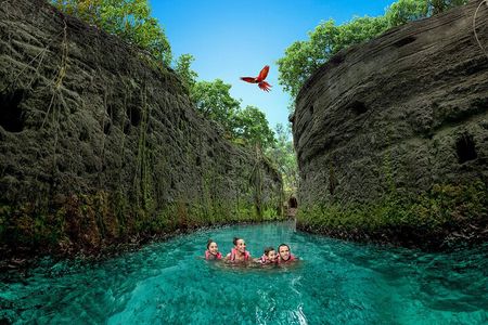 Xcaret Park Day Trip, transportation and Cultural Night Show