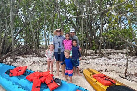 Dolphin and Manatee Adventure Tour of Merritt Island