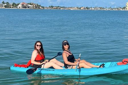 Dolphin and Manatee Tour of Marco Island by Kayak or SUP